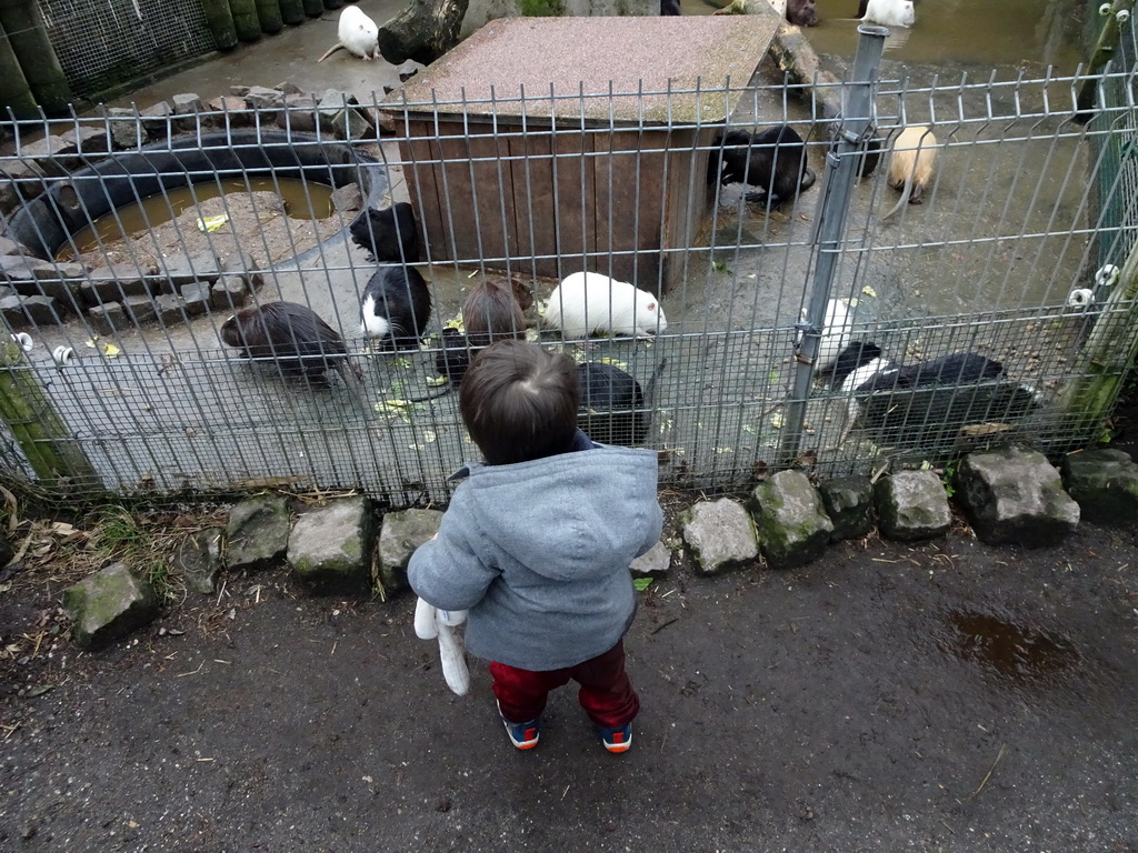 Max with Coypus being fed at the Zie-ZOO zoo