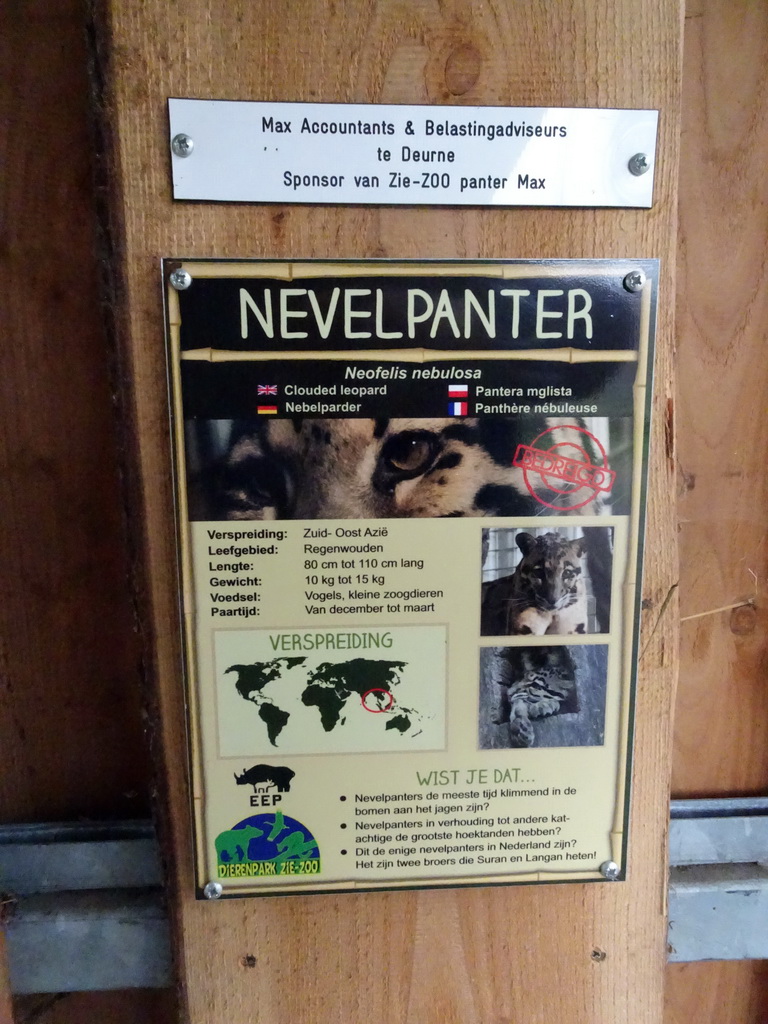 Explanation on the Clouded Leopard `Max` at the Zie-ZOO zoo