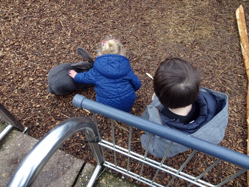 Max with a Rabbit at the Zie-ZOO zoo