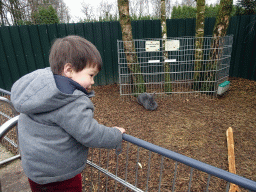 Max with a Rabbit at the Zie-ZOO zoo