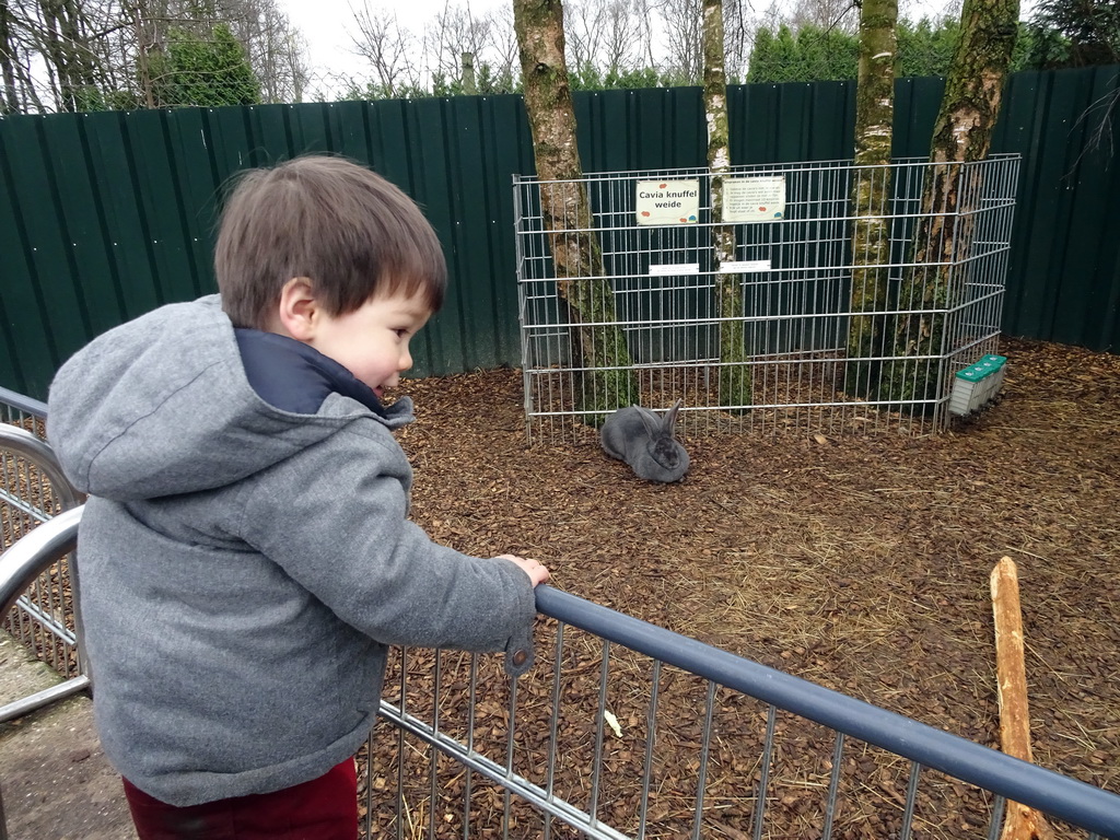 Max with a Rabbit at the Zie-ZOO zoo
