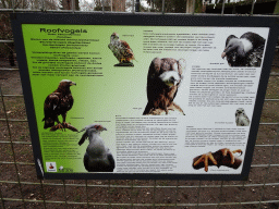 Information on birds of prey at the Zie-ZOO zoo