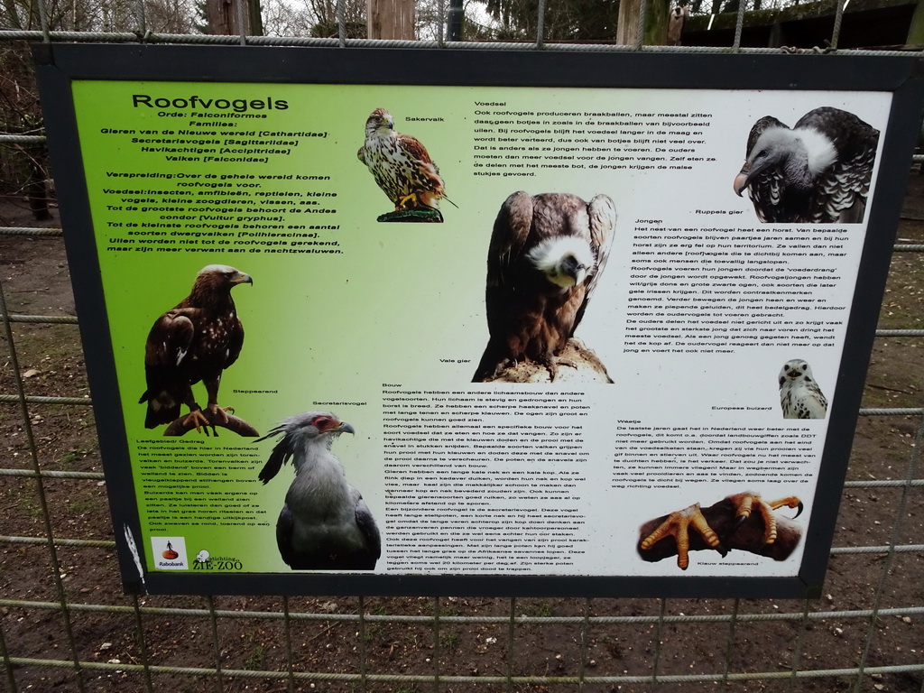Information on birds of prey at the Zie-ZOO zoo