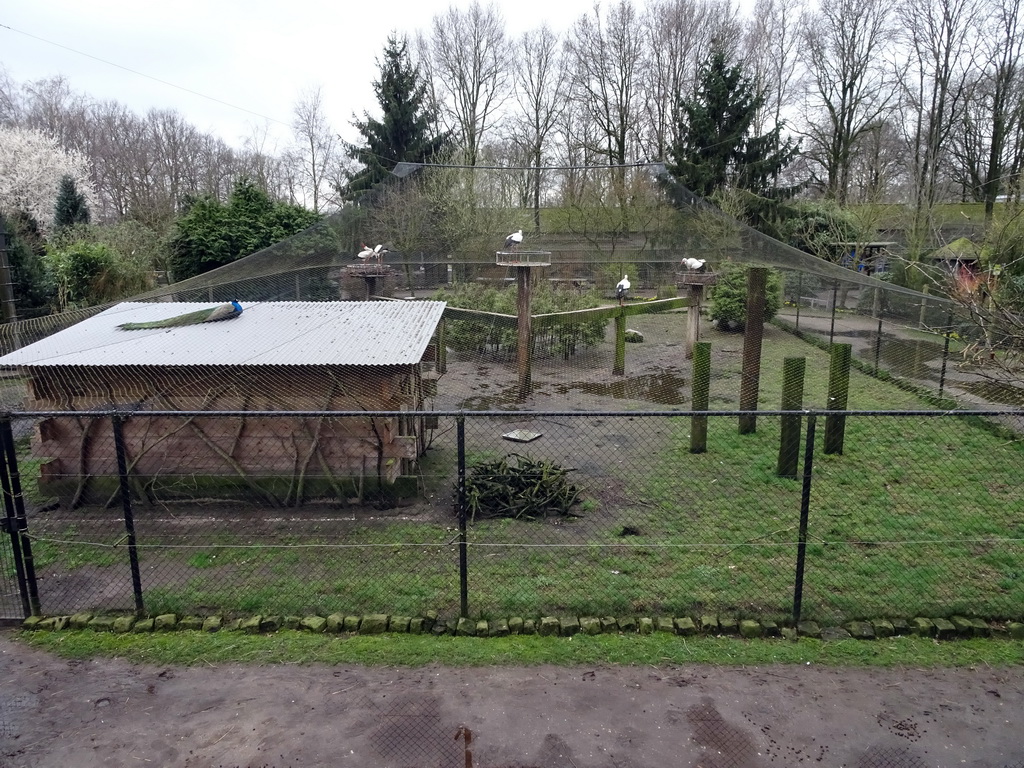 Bird cage at the Zie-ZOO zoo, viewed from the pedestrian bridge