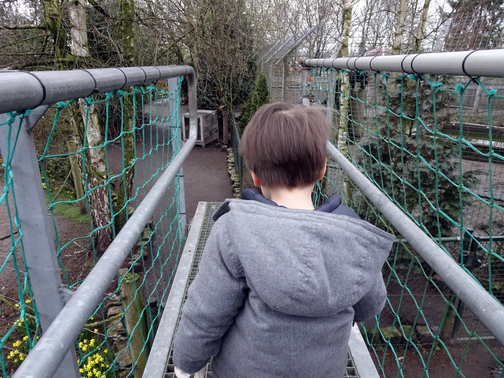 Max on the Pedestrian bridge at the Zie-ZOO zoo