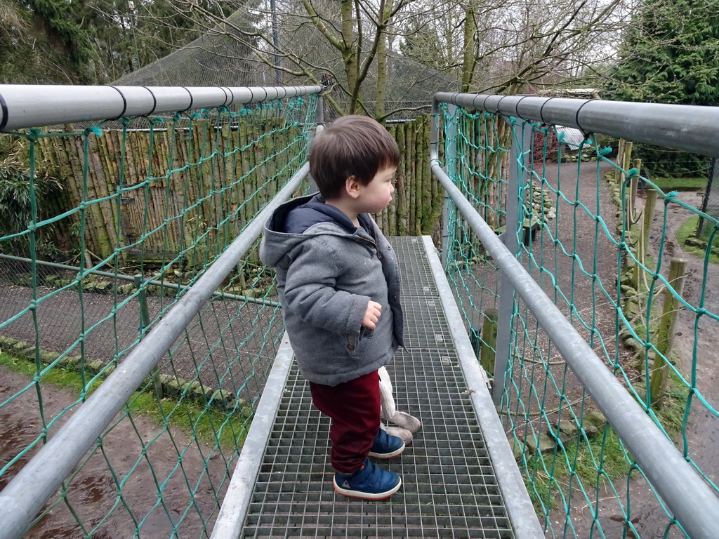 Max on the Pedestrian bridge at the Zie-ZOO zoo