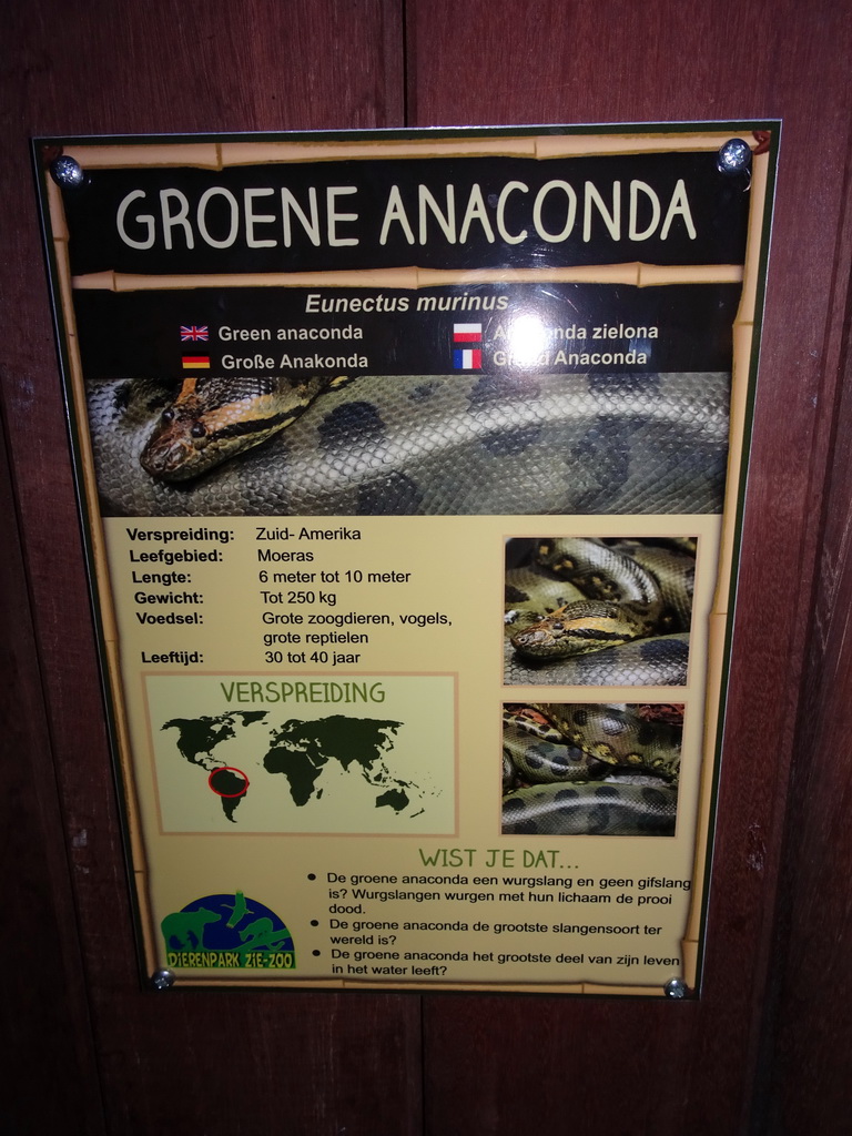 Explanation on the Green Anaconda at the Reptile House at the Zie-ZOO zoo