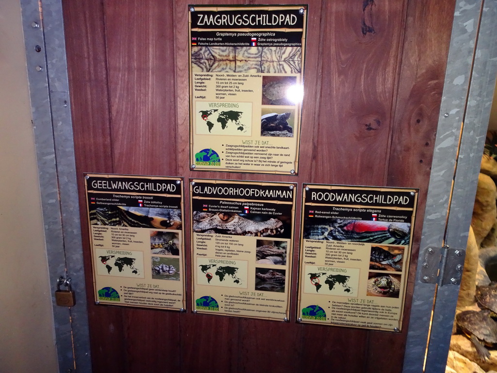 Explanation on the False Map Turtle, Cumberland Slider, Cuvier`s Dwarf Caiman and Red-eared Slider at the Reptile House at the Zie-ZOO zoos