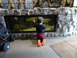 Max at an aquarium at the Zie-ZOO zoo
