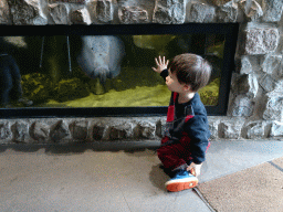 Max with a stingray at an aquarium at the Zie-ZOO zoo