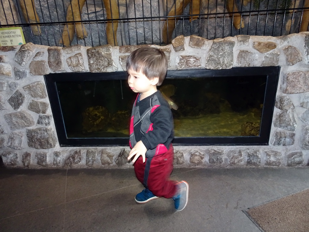 Max at an aquarium at the Zie-ZOO zoo