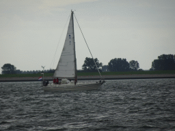 Boat on the Keeten-Mastgat estuary, viewed from the Seal Safari boat