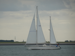 Boat on the National Park Oosterschelde and the tower of the Hervormde Kerk Stavenisse church, viewed from the Seal Safari boat