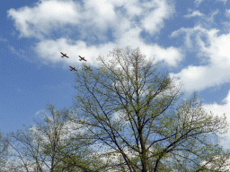 Airplanes flying above the trees, during the Liberation Day festivities