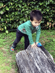 Max at the playground at the Veerstraat street