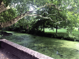 The Stadsgracht canal at the Bowlespark