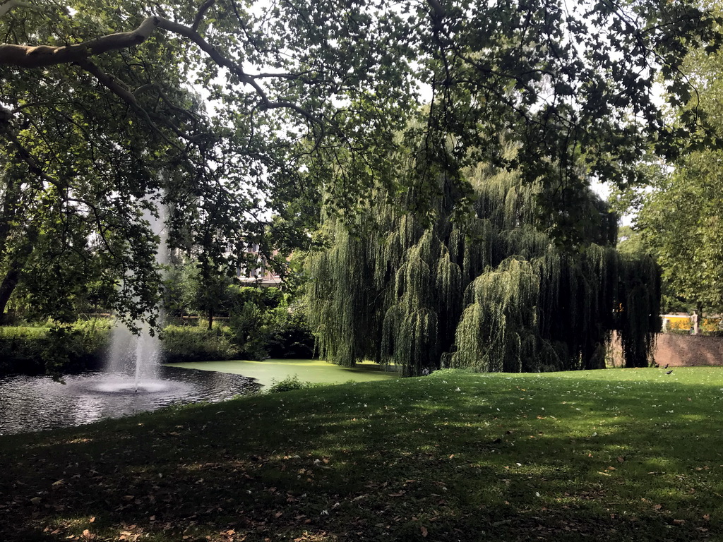 Fountain and tree at the Stadsgracht canal at the Emmapark