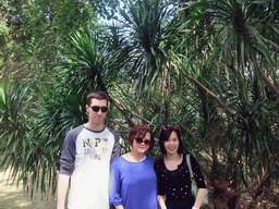 Tim, Miaomiao and Mengjin with a Cambodian Dragon Tree at the Xinglong Tropical Garden