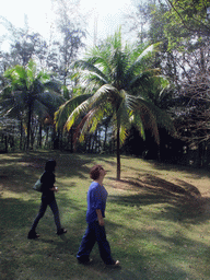 Miaomiao and Mengjin with a palm tree at the Xinglong Tropical Garden