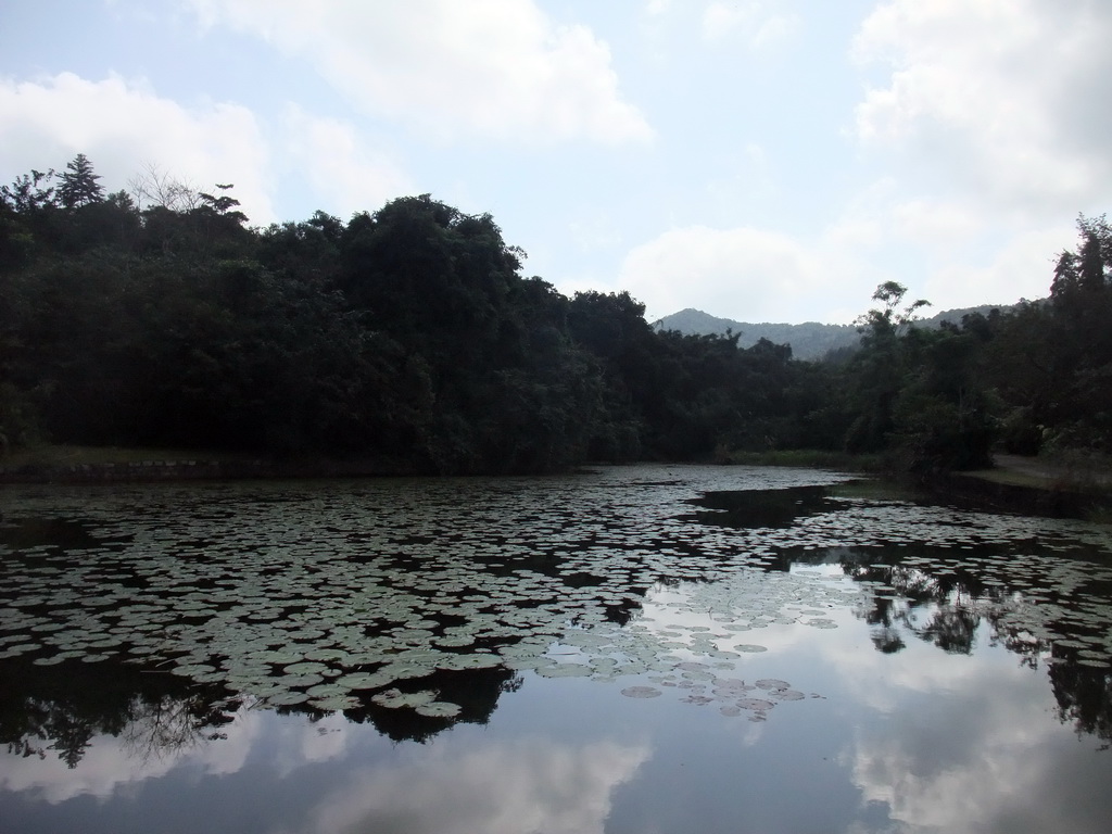 Pool with lily pads at the Xinglong Tropical Garden