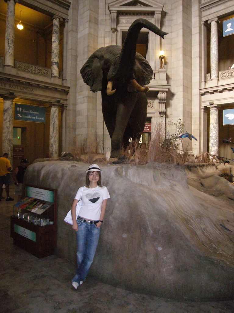 Miaomiao with the stuffed elephant at the Rotunda of the National Museum of Natural History