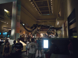 Dinosaur skeletons in the National Museum of Natural History