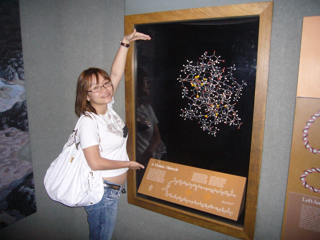 Miaomiao with a poster on a protein molecule in the National Museum of Natural History