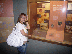 Miaomiao with fossil microbes in the National Museum of Natural History