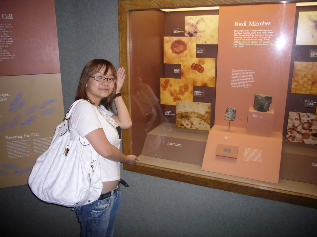 Miaomiao with fossil microbes in the National Museum of Natural History