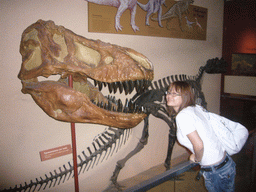 Miaomiao and a Tyrannosaurus Rex skull in the National Museum of Natural History