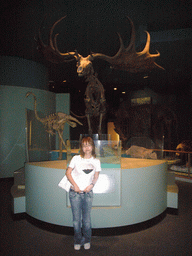 Miaomiao and a skeleton of a moose in the National Museum of Natural History