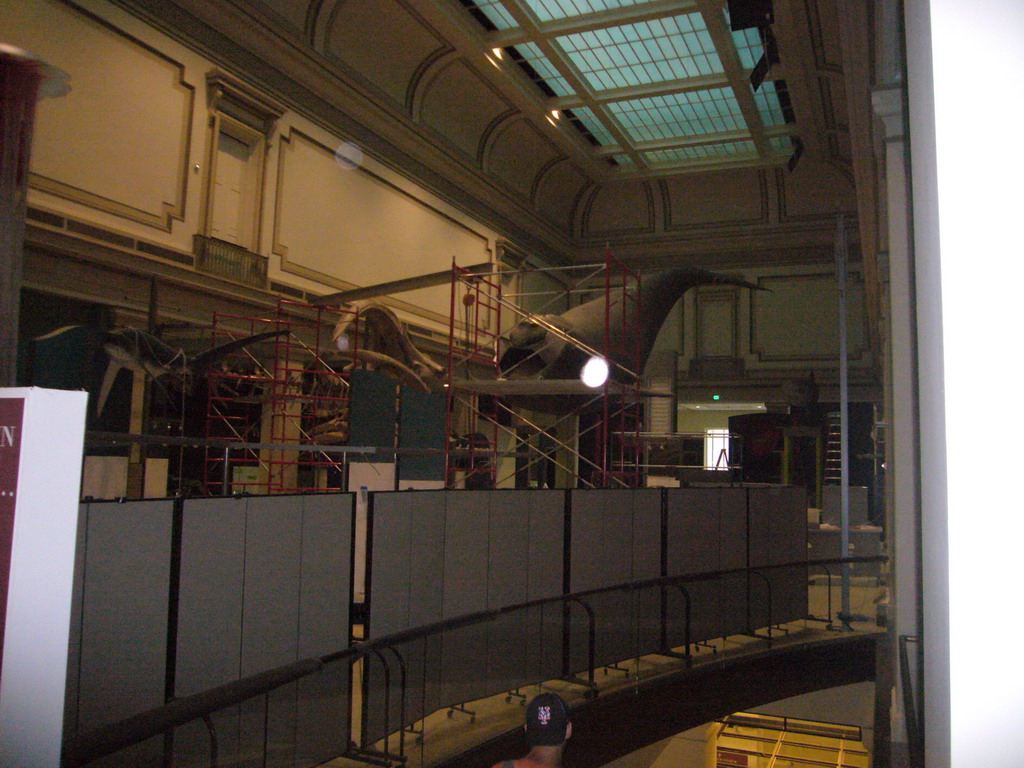 The Sant Ocean Hall of the National Museum of Natural History, under construction