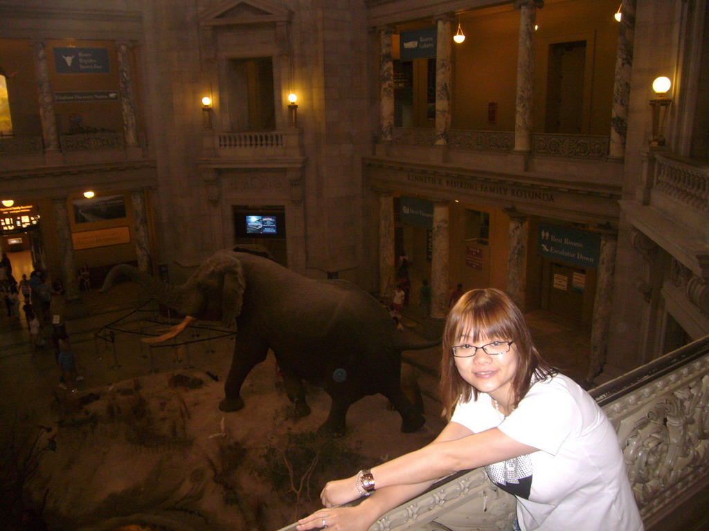 Miaomiao with the stuffed elephant at the Rotunda of the National Museum of Natural History