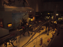 The Hall of Dinosaurs in the National Museum of Natural History