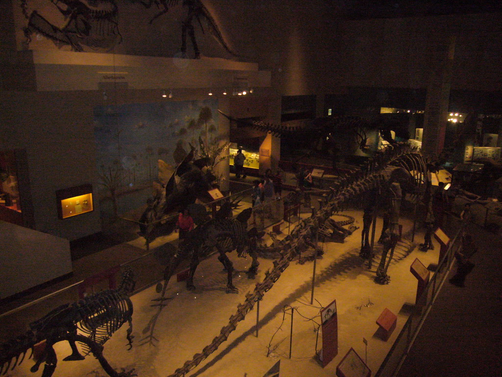 The Hall of Dinosaurs in the National Museum of Natural History