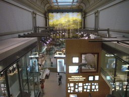 The Hall of Mammals in the National Museum of Natural History