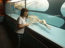 Miaomiao with the skeleton of a crocodile in the National Museum of Natural History