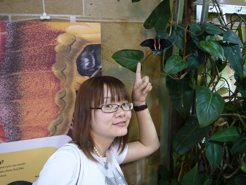 Miaomiao and a butterfly in the Butterfly Pavilion in the National Museum of Natural History
