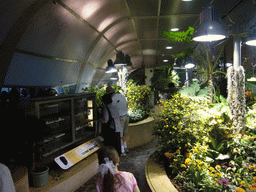 The Butterfly Pavilion in the National Museum of Natural History