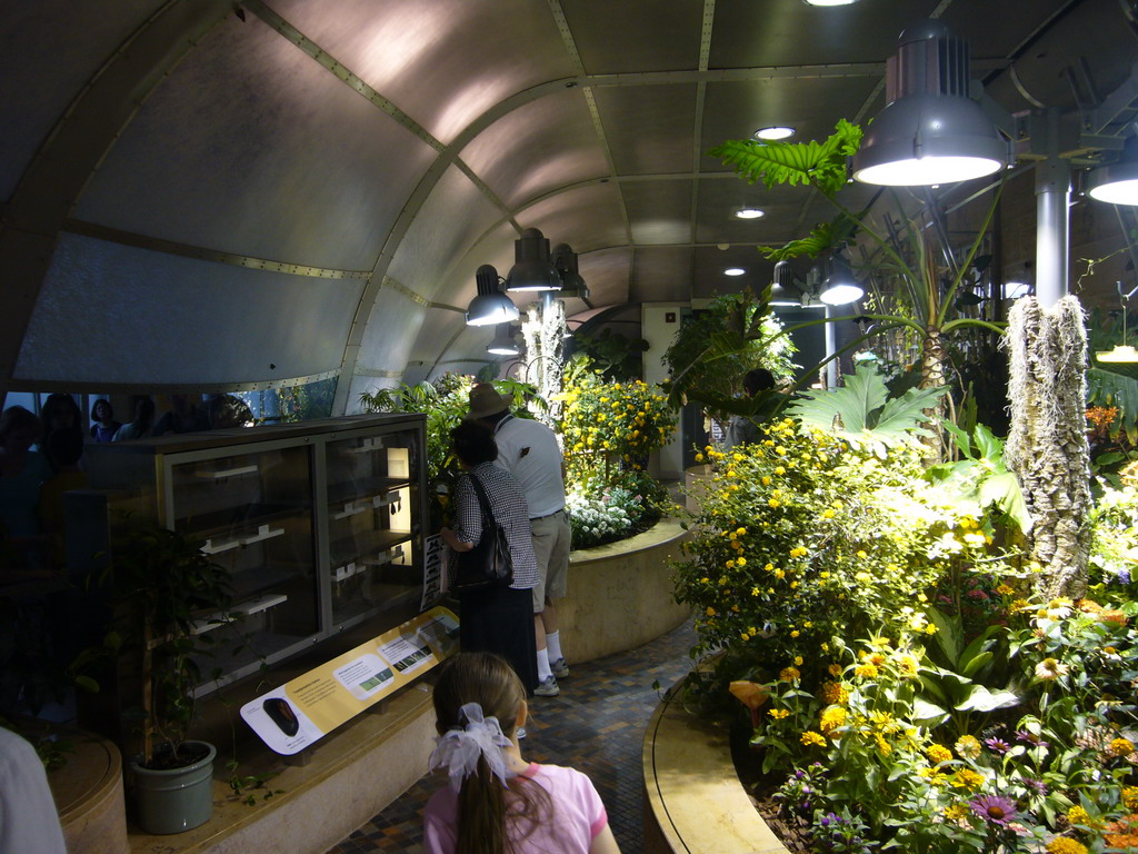 The Butterfly Pavilion in the National Museum of Natural History