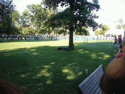 The waiting line in front of the U.S. Capitol