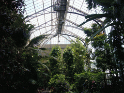 Inside the United States Botanic Garden