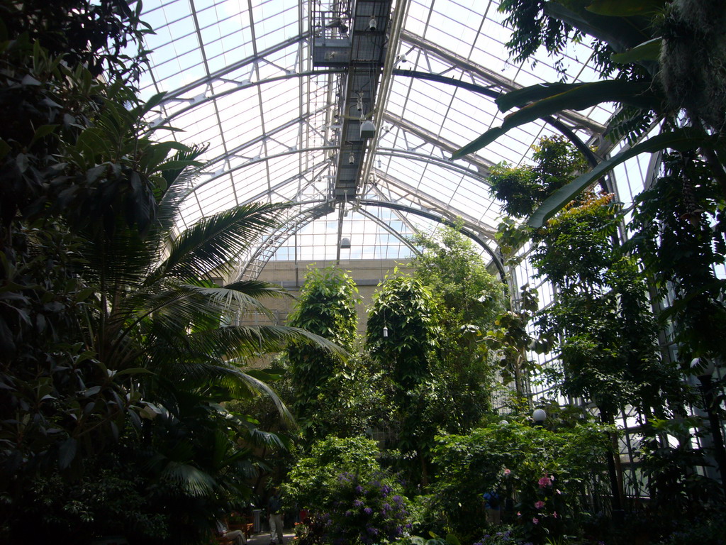 Inside the United States Botanic Garden
