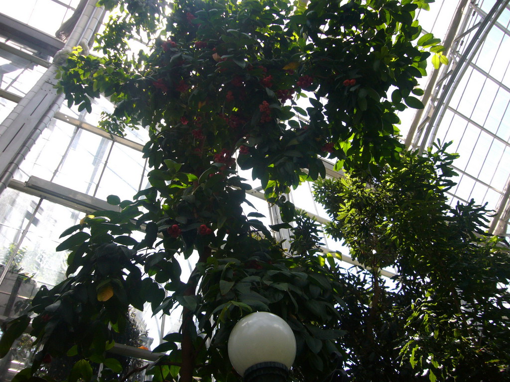 Inside the United States Botanic Garden