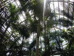 Inside the United States Botanic Garden