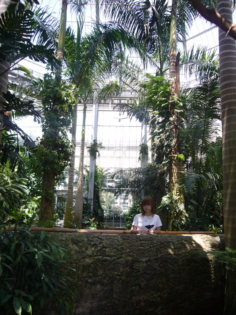 Miaomiao in the United States Botanic Garden