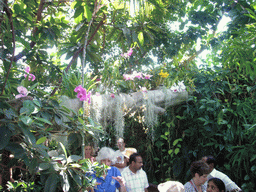 Our guide and flowering plants in the United States Botanic Garden