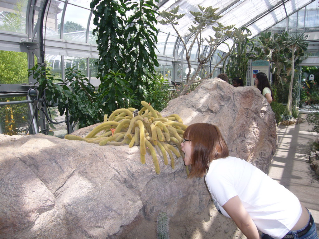 Miaomiao in the United States Botanic Garden