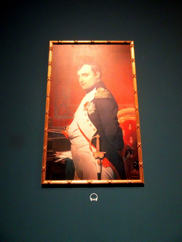 Portrait of Napoleon Bonaparte at the Lower Floor of the Mémorial 1815 museum