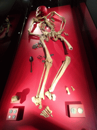The Waterloo skeleton at the Lower Floor of the Mémorial 1815 museum